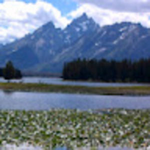 Meet your Posher, Annabel